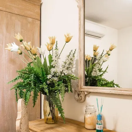 Diletta Bed & Breakfast Forte dei Marmi